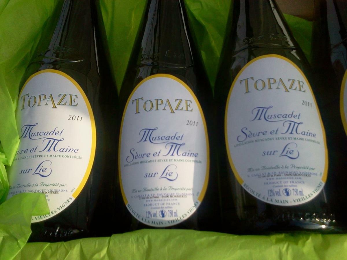 Topaze Monnieres  Esterno foto